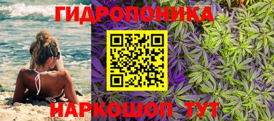 прущие грибы Партизанск