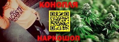 прущие грибы Партизанск