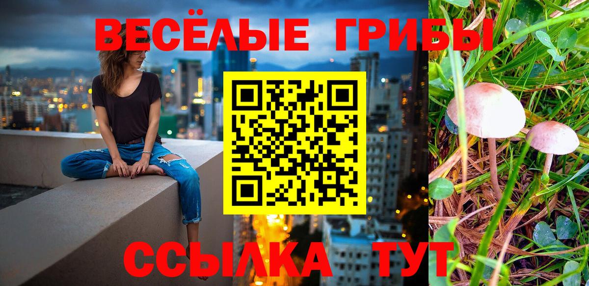 Галлюциногенные грибы мицелий Сертолово