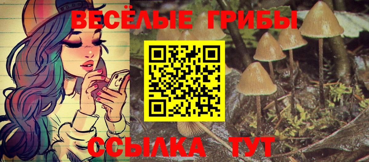 Сертолово  Галлюциногенные грибы прущие грибы  Вход с VPN 